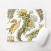  slakken en Zeeen slakken van Ernst Haeckel Muismat (Met muis)