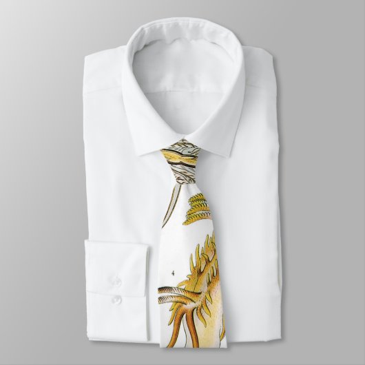 slakken en Zeeen slakken van Ernst Haeckel Stropdas (Gebonden)