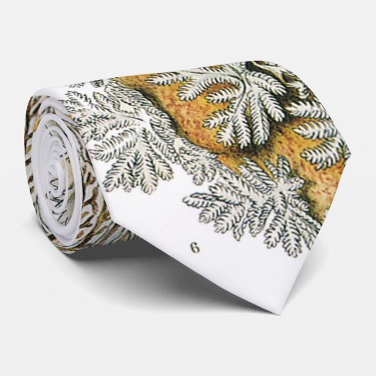  slakken en Zeeen slakken van Ernst Haeckel Stropdas (Opgerold)