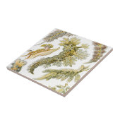  slakken en Zeeen slakken van Ernst Haeckel Tegeltje (Zijkant)