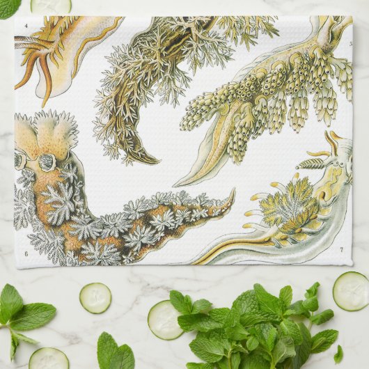  slakken en Zeeen slakken van Ernst Haeckel Theedoek (Gevouwen)