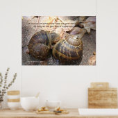 Slakken in liefde poster (Keuken)