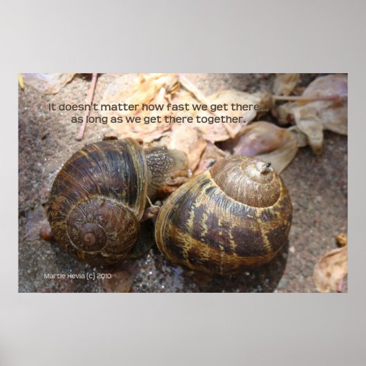 Slakken in liefde poster (Voorkant)