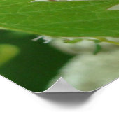 Slakken in tijm poster (Hoek)