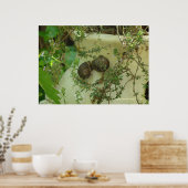 Slakken in tijm poster (Keuken)