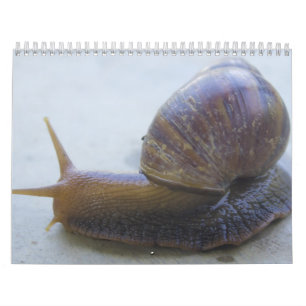 Slakken Kalender