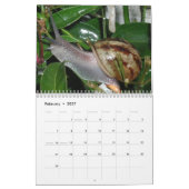 Slakken Kalender (Feb 2027)