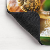 Slakken Muismat (Hoek)