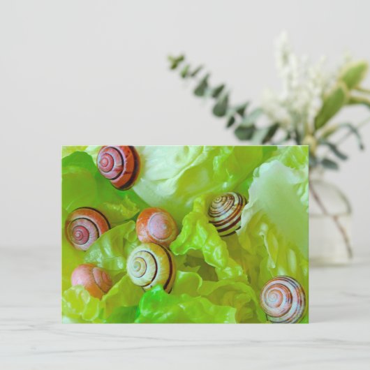 Slakken op sla (Staand voorkant)