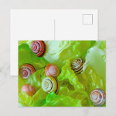 Slakken op sla briefkaart (Voorkant / Achterkant)