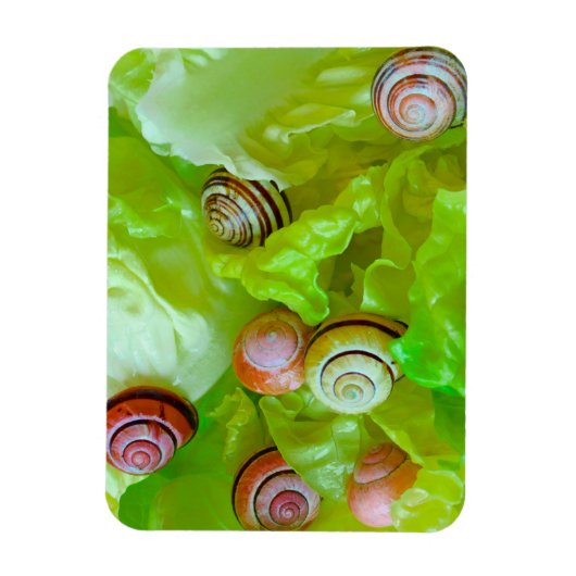 Slakken op sla magneet (Verticaal)