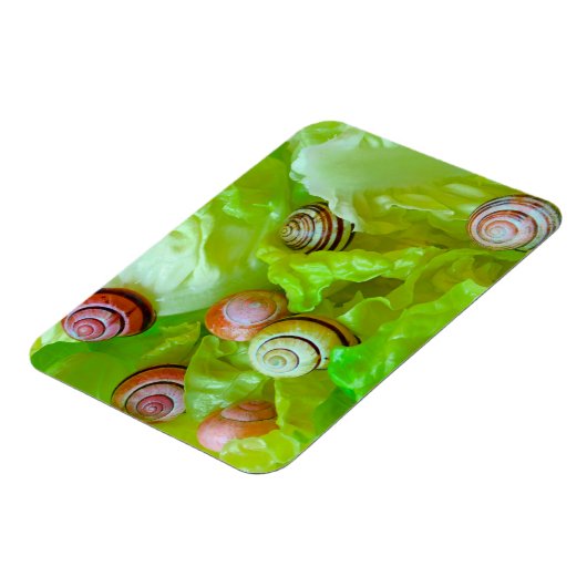 Slakken op sla magneet (Linkerzijde)