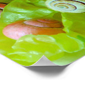 Slakken op sla poster (Hoek)