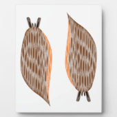 Slakken Plaquette Fotoplaat (Voorkant)