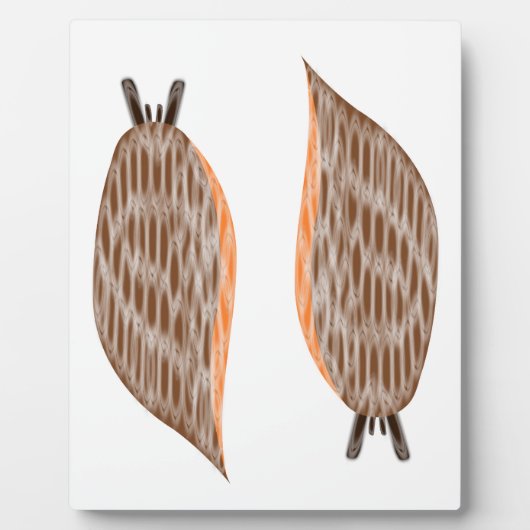 Slakken Plaquette Fotoplaat (Voorkant)