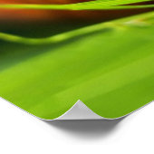 Slakken Poster (Hoek)