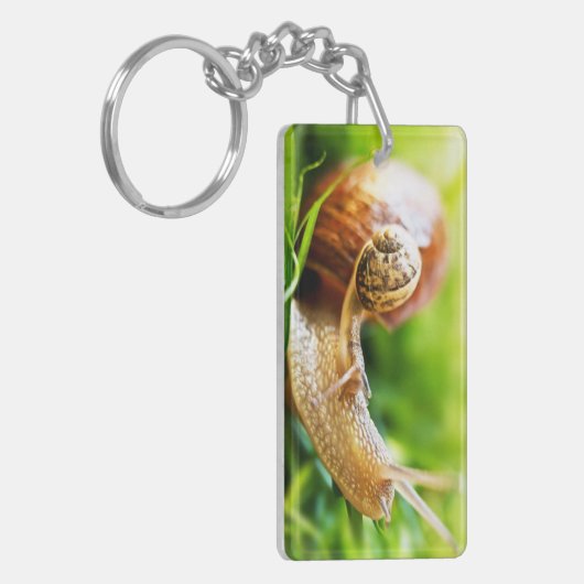 Slakken Sleutelhanger (Voorkant Links)