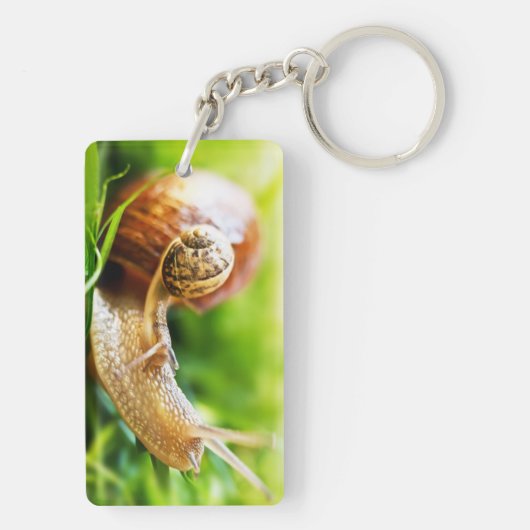 Slakken Sleutelhanger (achterkant)