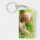 Slakken Sleutelhanger (Voorkant)