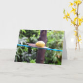 SLAKKENEVENWICHTSKAART KAART (Gele Bloem)