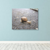 Slakkengang Canvas Afdruk (Insitu (Houten vloer))