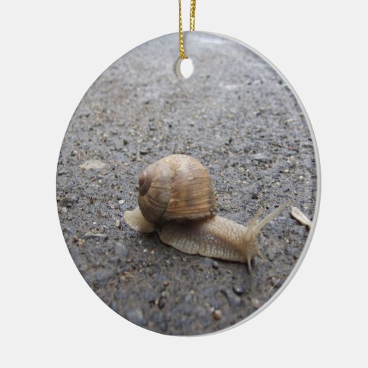 slakkengang keramisch ornament (Links)