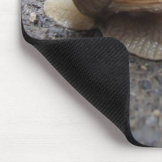 slakkengang muismat (Hoek)