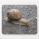 slakkengang muismat (Voorkant)