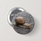 slakkengang ronde button 5,7 cm (Voorkant /achterkant)