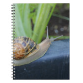 slakkennotebook notitieboek (Voorkant)