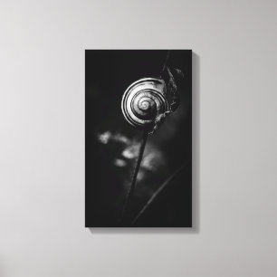 slakkenstaart canvas afdruk
