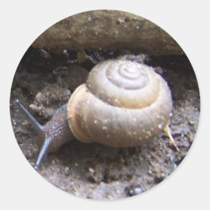 slakkleister ronde sticker