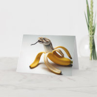 Slang en banaan Fusion voor Verjaardag