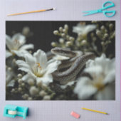 Slang in de tuin tissuepapier (Craft)