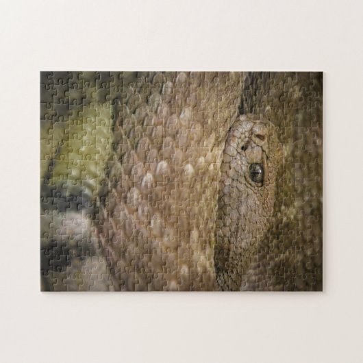 slang legpuzzel (Horizontaal)