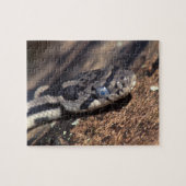 slang legpuzzel (Horizontaal)