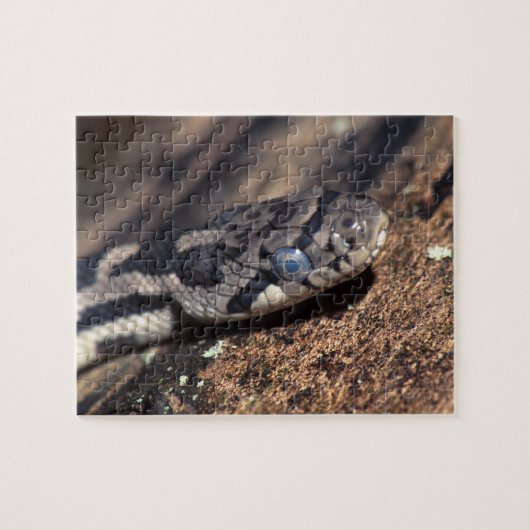 slang legpuzzel (Horizontaal)