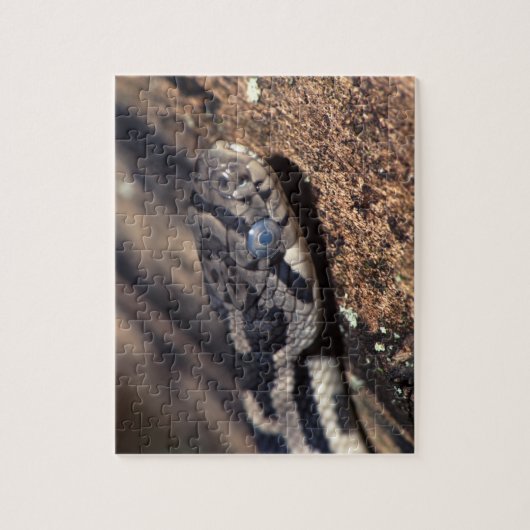 slang legpuzzel (Verticaal)