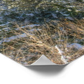 slang, pano__HDR Poster (Hoek)