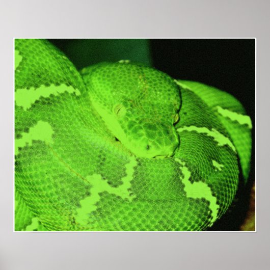 slang poster (Voorkant)