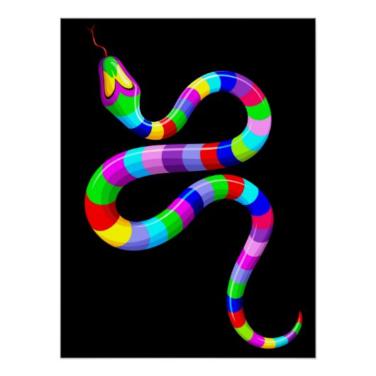 Slang Psychedelic Rainbow Kleuren Perfect Poster (Voorkant)
