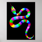 Slang Psychedelic Rainbow Kleuren Poster (Voorkant)