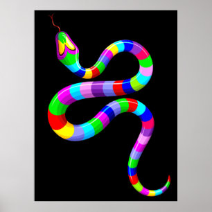 Slang Psychedelic Rainbow Kleuren Poster