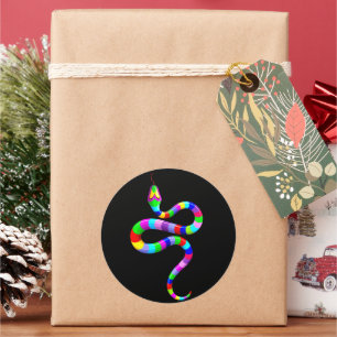 Slang Psychedelic Rainbow Kleuren Ronde Sticker