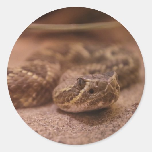 slang ronde sticker (Voorkant)