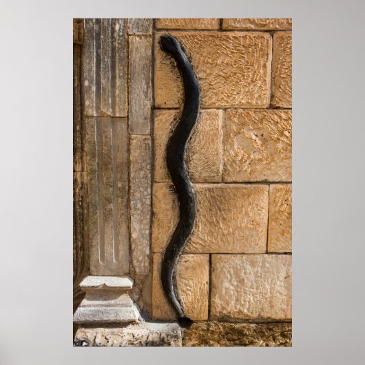 Slang Sculptuur Bij Amna Suraka Poster (Voorkant)