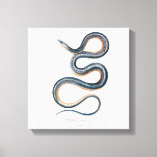  slang Victoriaans art nouveau snake Canvas Afdruk