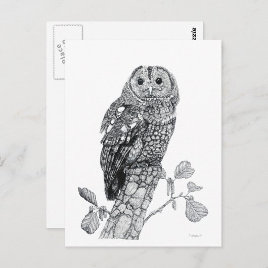 Slangen - Blank Briefkaart (Voorkant / Achterkant)