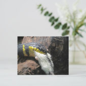 slangen en muis briefkaart (Staand voorkant)