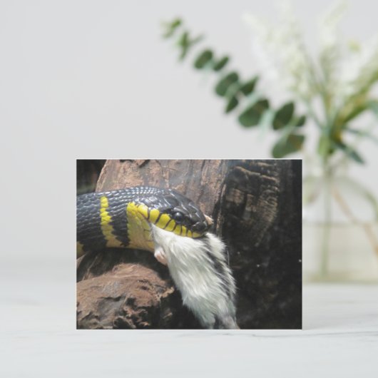 slangen en muis briefkaart (Staand voorkant)